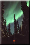 Alaskan notecard shows aurora borealis over log cabin