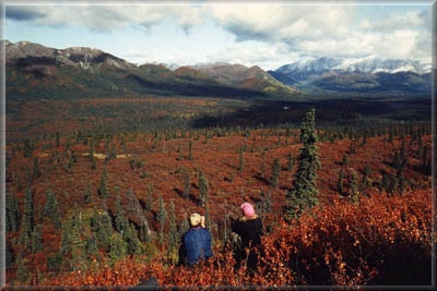 Photography and photographing Alaskan wildlife is a favorite hobby.