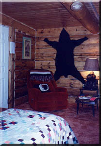 Bear cabin at Tok, Alaska's bed and breakfast.