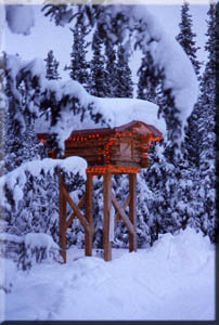 log cache adds atmosphere at the bed and breakfast.