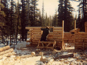 Cabins of Alaska features this ca bin building in Tok.