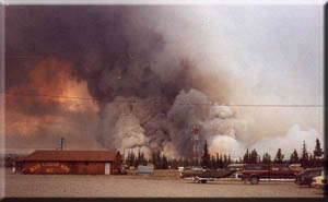 Alaska facts: Forest fire too near Tok, Alaska.