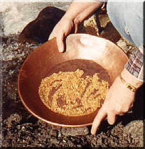 Day trips from Tok include gold panning in the 40 mile country, river trips, and taking Alaskan photos.