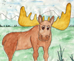 The story of this moose is a winter survival story.